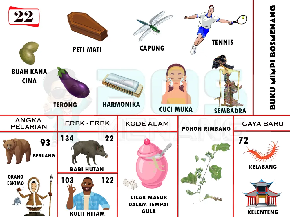 buku mimpi erek erek togel 22
